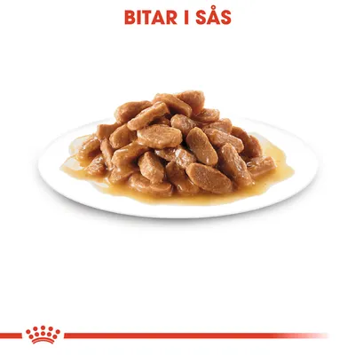 Bitar i sås på vit tallrik, texten 'BITAR I SÅS' synlig överst i bilden.