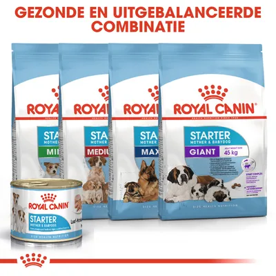Royal Canin Starter Mother & Babydog droog- en natvoer voor honden, varianten Mini, Medium, Maxi, Giant. Tekst boven: Gezonde en uitgebalanceerde combinatie.