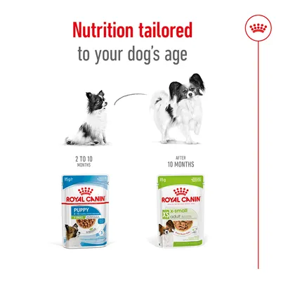 Nutrition tailored to your dog's age. Use puppy food from 2 to 10 months, then switch to x-small adult food after 10 months. Two product pouches shown for each stage.