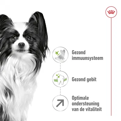Gezond immuunsysteem, gezond gebit, optimale ondersteuning van de vitaliteit – drie productkenmerken naast afbeelding van een hond en Royal Canin kroon symbool.