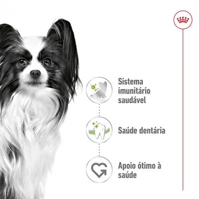 Sistema imunitário saudável, saúde dentária, apoio ótimo à saúde. Texto ao lado de um cão de pelo comprido preto e branco. Símbolos ilustram cada benefício.