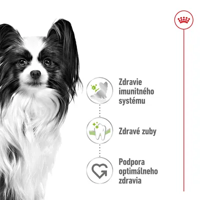 Papillon pes vedľa ikon s textom: Zdravie imunitného systému, Zdravé zuby, Podpora optimálneho zdravia. Vpravo hore červený symbol Royal Canin.