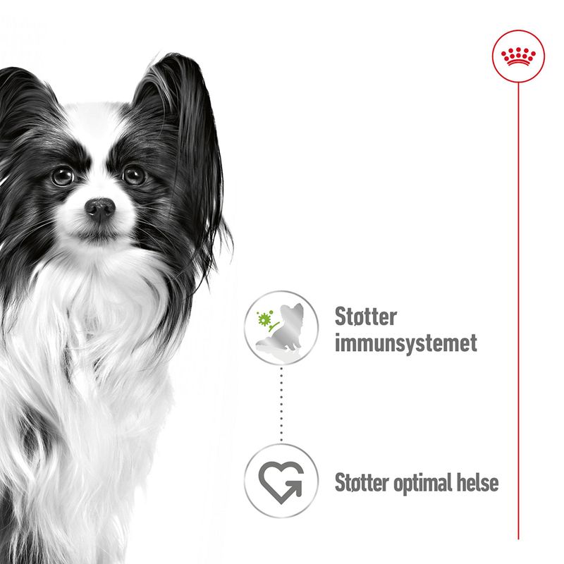Royal Canin X-Small Adult i saus