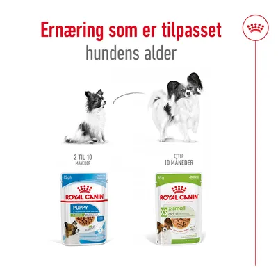 Royal Canin X-Small Adult i saus