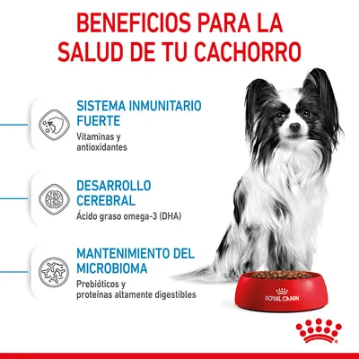 Beneficios para la salud de tu cachorro: sistema inmunitario fuerte (vitaminas y antioxidantes), desarrollo cerebral (omega-3 DHA), mantenimiento del microbioma (prebióticos, proteínas digestibles).
