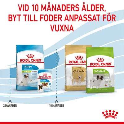 Text: Vid 10 månaders ålder, byt till foder anpassat för vuxna. Royal Canin Puppy X-Small 2–10 månader, därefter Royal Canin Adult Chihuahua och X-Small Adult. Tidslinje 2–10 månader.