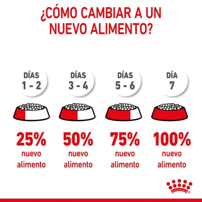 Guía de cambio a nuevo alimento: días 1–2, 25 %; días 3–4, 50 %; días 5–6, 75 %; día 7, 100 % nuevo alimento. Texto y gráficos explicativos.