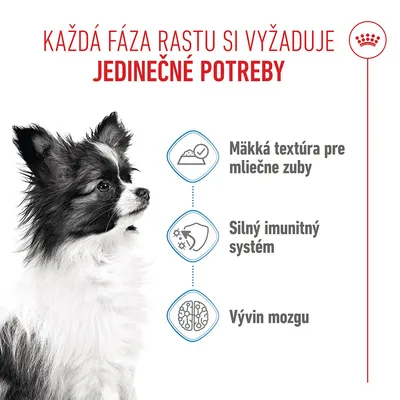 Royal Canin X-Small Puppy v omáčke