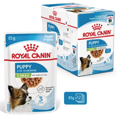 Royal Canin X-Small Puppy in salsa