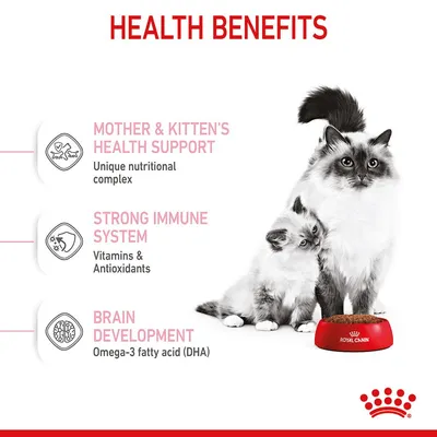 Text: Health Benefits. Mother & Kitten’s Health Support – Unique nutritional complex. Strong Immune System – Vitamins & Antioxidants. Brain Development – Omega-3 fatty acid (DHA).