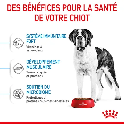 Des bénéfices pour la santé de votre chiot : système immunitaire fort, développement musculaire, soutien du microbiome. Royal Canin. Texte en français.