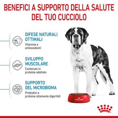 Benefici a supporto della salute del cucciolo: difese naturali ottimali con vitamine e antiossidanti, sviluppo muscolare con proteine, supporto del microbioma con prebiotici. Royal Canin.