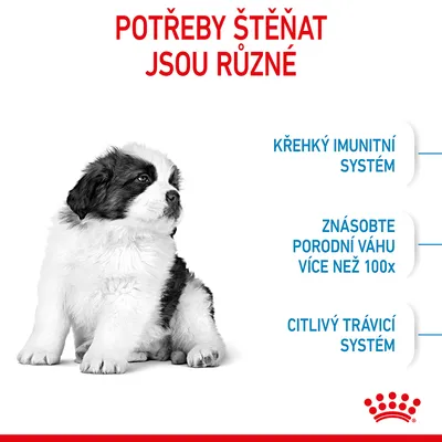 Potřeby štěňat jsou různé: křehký imunitní systém, znásobte porodní váhu více než 100x, citlivý trávicí systém. Obrázek štěněte.