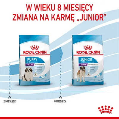Royal Canin Puppy Giant 2–8 miesięcy i Royal Canin Junior Giant 8–18/24 miesiące. W wieku 8 miesięcy zmiana na karmę Junior. Oznaczenia: 2 miesiące, 8 miesięcy.