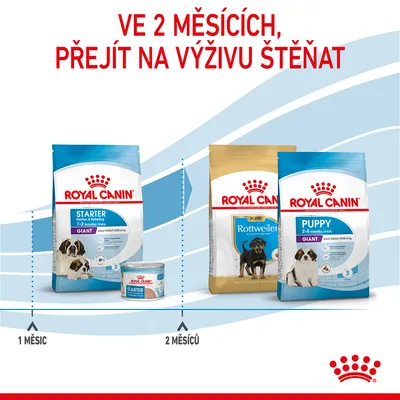 Doporučení: ve 2 měsících přejít na výživu štěňat. Produkty Royal Canin Starter Giant 1–2 měsíce, poté Royal Canin Puppy Rottweiler a Puppy Giant 2–8 měsíců.
