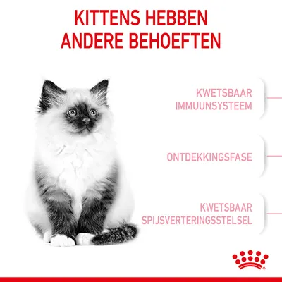 KITTENS HEBBEN ANDERE BEHOEFTEN: kwetsbaar immuunsysteem, ontdekkingsfase, kwetsbaar spijsverteringsstelsel. Royal Canin merk zichtbaar.