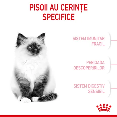 PISOII AU CERINȚE SPECIFICE. SISTEM IMUNITAR FRAGIL. PERIOADA DESCOPERIRILOR. SISTEM DIGESTIV SENSIBIL.