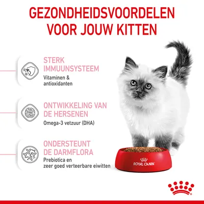 Gezondheidsvoordelen voor jouw kitten: sterk immuunsysteem (vitaminen & antioxidanten), ontwikkeling van de hersenen (omega-3 vetzuur DHA), ondersteunt de darmflora (prebiotica, eiwitten).