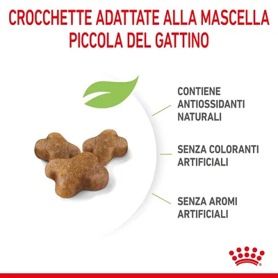 Crocchette adattate alla mascella piccola del gattino. Contiene antiossidanti naturali, senza coloranti artificiali, senza aromi artificiali.