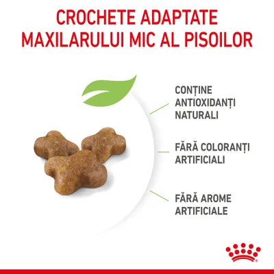 Crochete adaptate maxilarului mic al pisoilor. Conține antioxidanți naturali, fără coloranți artificiali, fără arome artificiale. Imagine cu trei crochete maro.