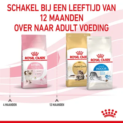 Royal Canin kattenvoer: Kitten tot 12 maanden, daarna overstappen op Adult voeding zoals Maine Coon of Home Life Indoor. Tekst: Schakel bij een leeftijd van 12 maanden over naar adult voeding.