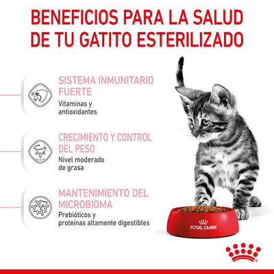 Beneficios para la salud de tu gatito esterilizado: sistema inmunitario fuerte, crecimiento y control del peso, mantenimiento del microbioma. Royal Canin.