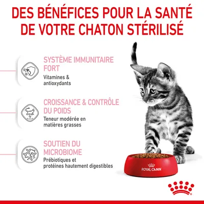 Des bénéfices pour la santé de votre chaton stérilisé : système immunitaire fort, croissance et contrôle du poids, soutien du microbiome. Royal Canin visible sur la gamelle.