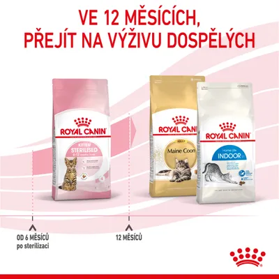 Royal Canin Kitten Sterilised 6–12 měsíců, Royal Canin Maine Coon Adult, Royal Canin Home Life Indoor. Ve 12 měsících přejít na výživu dospělých. Od 6 měsíců po sterilizaci.