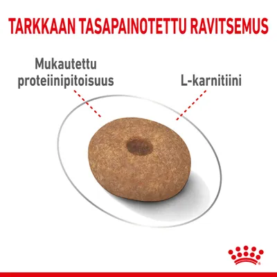 TARKKAAN TASAPAINOTETTU RAVITSEMUS, Mukautettu proteiinipitoisuus, L-karnitiini. Yksi ruskea nappulamuotoinen kuivaruokanappula keskellä.