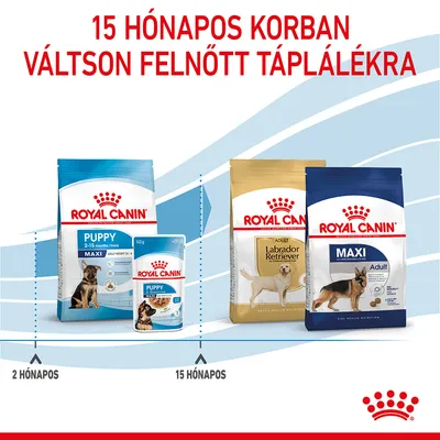 15 hónapos korban váltson felnőtt táplálékra. Royal Canin Puppy 2–15 months, Royal Canin Adult Labrador Retriever, Royal Canin Maxi Adult kutyatáp csomagolások láthatók.