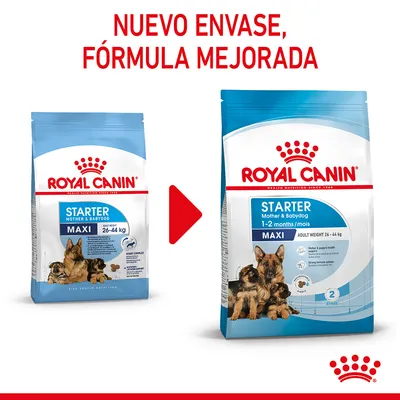 ROYAL CANIN STARTER Mother & Babydog MAXI 26–44 kg. Imagen comparativa de envase antiguo y nuevo con texto: NUEVO ENVASE, FÓRMULA MEJORADA.