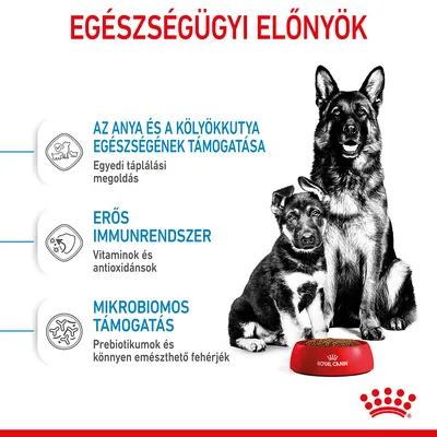 EGÉSZSÉGÜGYI ELŐNYÖK: az anya és a kölyökkutya egészségének támogatása, erős immunrendszer, mikrobiomos támogatás. Royal Canin tál kutyákkal.