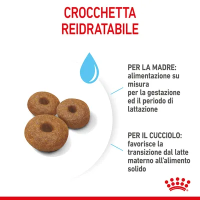 CROCCHETTA REIDRATABILE. Per la madre: alimentazione su misura per la gestazione ed il periodo di lattazione. Per il cucciolo: favorisce la transizione dal latte materno all’alimento solido.