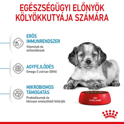 Egészségügyi előnyök kölyökkutyája számára: erős immunrendszer (vitaminok, antioxidánsok), agyfejlődés (omega-3 zsírsav), mikrobiomos támogatás (prebiotikumok, fehérjék). Royal Canin tál.