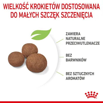 Wielkość krokietów dostosowana do małych szczęk szczenięcia. Zawiera naturalne przeciwutleniacze, bez barwników, bez sztucznych aromatów. Trzy okrągłe krokiety na białym tle.