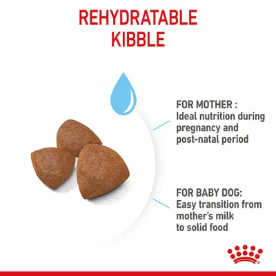 Rehydratable kibble shown with text: For mother, ideal nutrition during pregnancy and post-natal period. For baby dog, easy transition from milk to solid food.