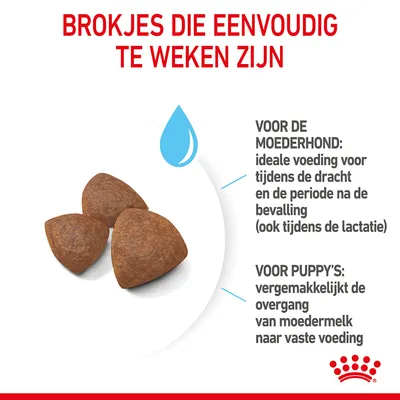 Brokjes die eenvoudig te weken zijn. Voor de moederhond: ideale voeding tijdens dracht, na bevalling en lactatie. Voor puppy’s: vergemakkelijkt overgang van moedermelk naar vaste voeding.