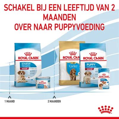 Schakel bij een leeftijd van 2 maanden over naar puppyvoeding. Royal Canin Starter voor 1 maand, Royal Canin Puppy en Cocker vanaf 2 maanden zichtbaar.