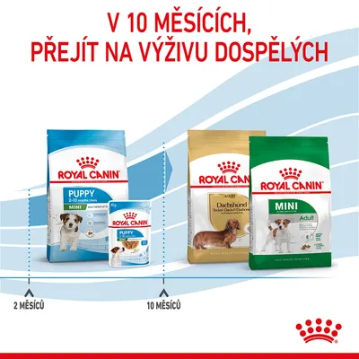Royal Canin Puppy Mini pro 2–10 měsíců, Royal Canin Adult Dachshund a Mini Adult od 10 měsíců. Text: V 10 měsících, přejít na výživu dospělých.