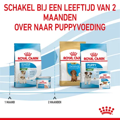 Royal Canin Starter voeding voor pups van 1–2 maanden, overstappen op Royal Canin Puppy voeding vanaf 2 maanden. Tekst: Schakel bij een leeftijd van 2 maanden over naar puppyvoeding.