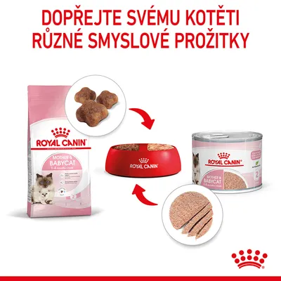 ROYAL CANIN Mother & Babycat 1–4 months; balení granulí, konzerva a miska s krmivem. Text: Dopřejte svému kotěti různé smyslové prožitky.