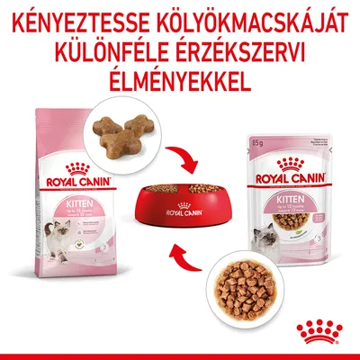 Royal Canin Kitten száraz és nedves macskaeledel, kölyökmacskáknak 12 hónapos korig. Különféle érzékszervi élmények, csomagolás és tálban látható eledel.