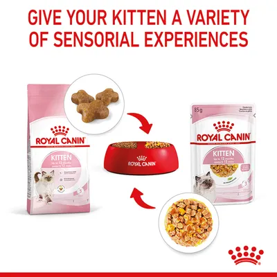 Dry and wet kitten food shown with a bowl, highlighting variety in texture and sensorial experiences. Text reads: Give your kitten a variety of sensorial experiences.