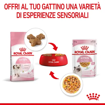ROYAL CANIN Kitten fino a 12 mesi: confezione di crocchette, ciotola con cibo secco e umido, bustina da 85 g, crocchette e bocconcini visibili. Testo: Offri al tuo gattino una varietà di esperienze sensoriali.