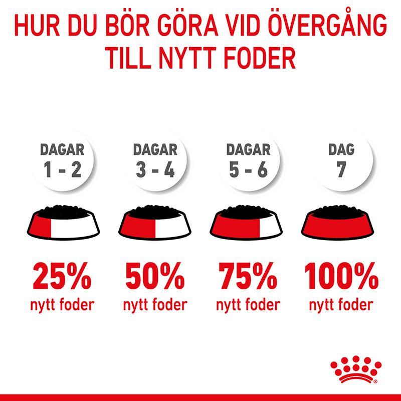 Royal Canin Kitten i gelé