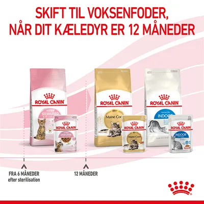 Skift til voksenfoder, når dit kæledyr er 12 måneder. Royal Canin Kitten Sterilised fra 6–12 måneder, Royal Canin Maine Coon og Indoor Adult fra 12 måneder.