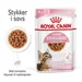 Royal Canin Sterilised Kitten i sauce