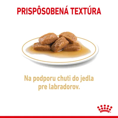 PRISPÔSOBENÁ TEXTÚRA. Na tanieri kúsky krmiva v omáčke. Text: Na podporu chuti do jedla pre labradorov.