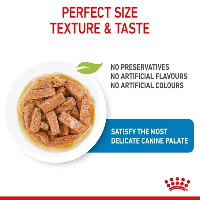Pet food in gravy shown with text: perfect size, texture and taste. No preservatives, no artificial flavours, no artificial colours. Satisfy the most delicate canine palate.