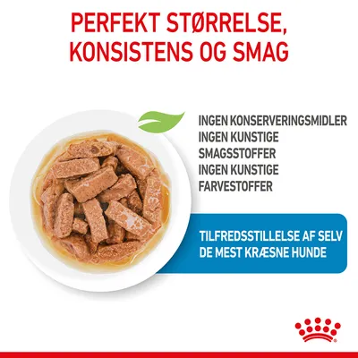 Royal Canin Maxi Puppy